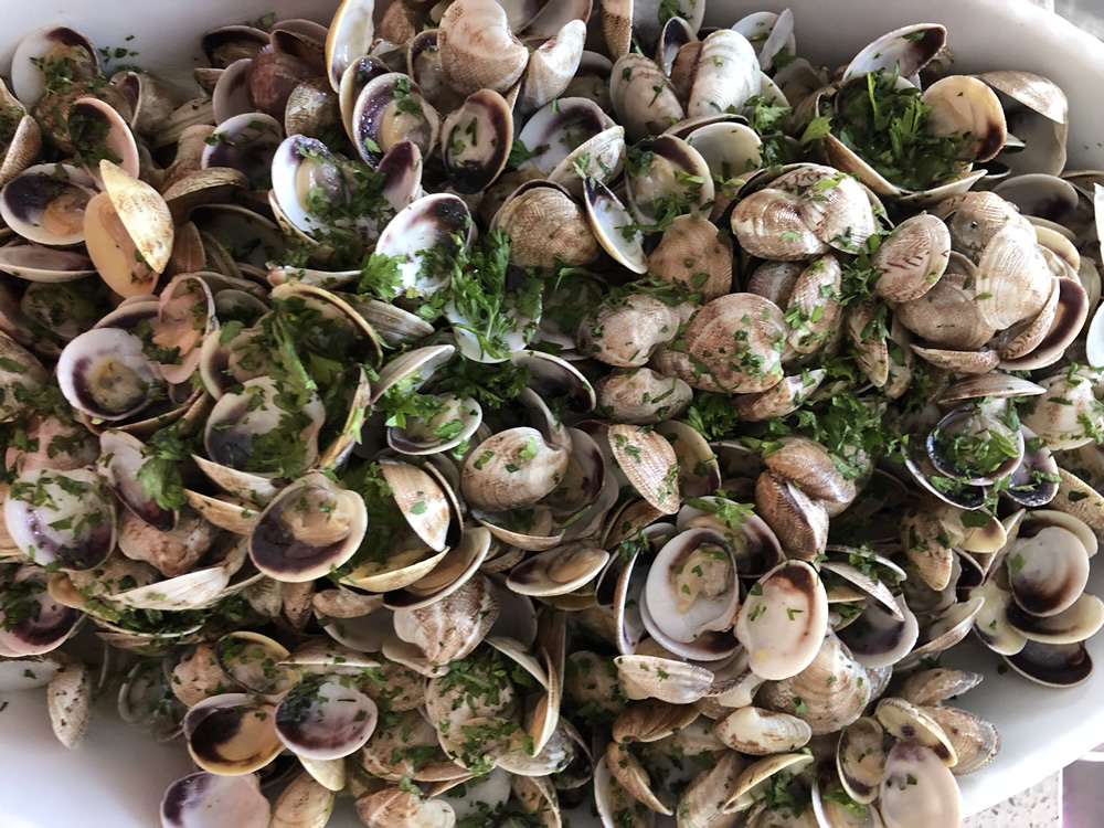 catering4